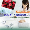 QUO�J�[�h5000�~�t���v����